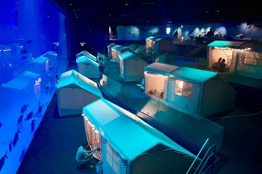 Sleep with the fishes: Glamping at the Singapore Oceanarium