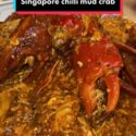 @biteswithlily Who else loves Singapore chilli mud crab?!  #singapore #chillimud…
