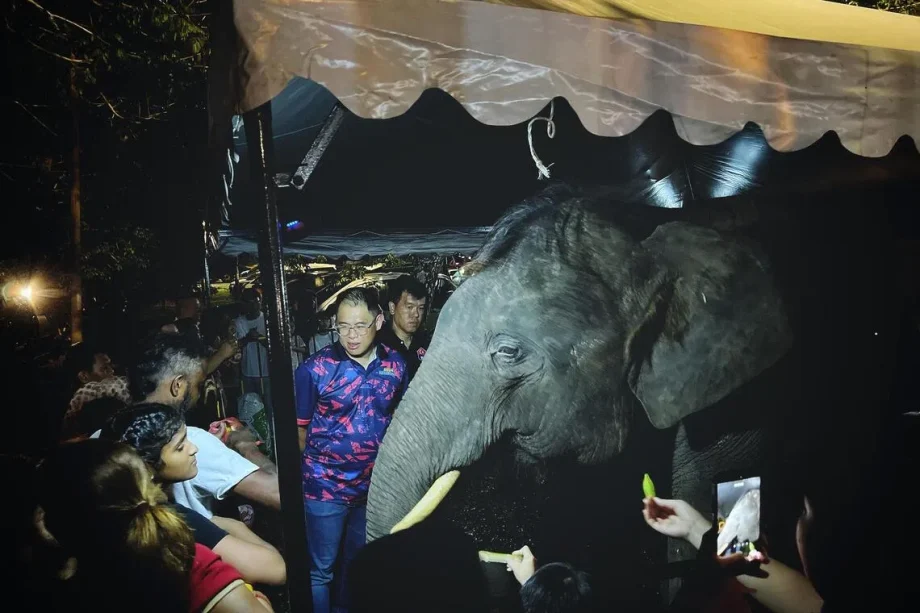 Johor’s efforts to mitigate human-elephant conflict