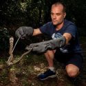 Experiencing Hong Kong’s snake safari