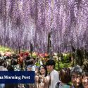 Japan’s plans to relax Chinese visa rules stall over hawkish shift, overtourism fears