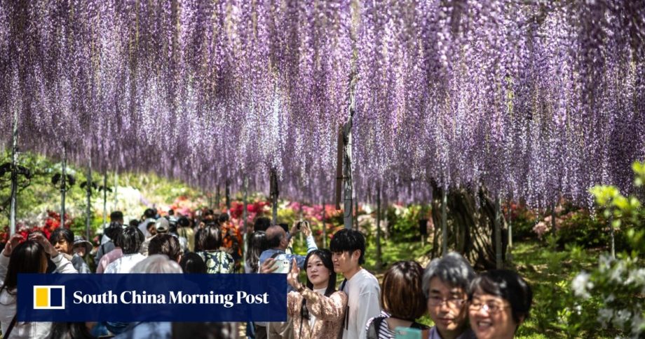 Japan’s plans to relax Chinese visa rules stall over hawkish shift, overtourism fears