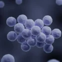 Singapore reviewing its plan to better control spread of drug-resistant superbugs