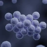 Singapore reviewing its plan to better control spread of drug-resistant superbugs