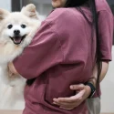 Public to be consulted by December on new law to regulate vet sector in Singapore