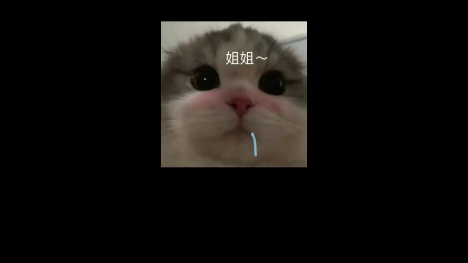People On TikTok
