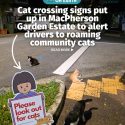 @mothershipsg why did the cat cross the road? because now there’s a sign on the …
