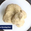 How to best enjoy white truffles and why they can cause ‘dog-nappings’