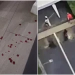 Commonwealth chopper case: Man who injured 8 people in random attacks sentenced to 2 years’ jail