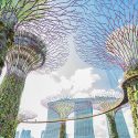 Mishcon Singapore sponsors the Growth Frontiers Asia Pacific conference