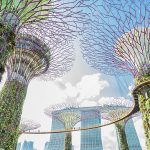 Mishcon Singapore sponsors the Growth Frontiers Asia Pacific conference