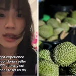 ‘If my mum sees this, my dad GG’: TikToker says dad spent .6k on durians from door-to-door seller