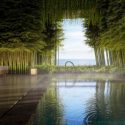 Aman to open hideouts in Singapore and Mozambique