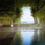 Aman to open hideouts in Singapore and Mozambique