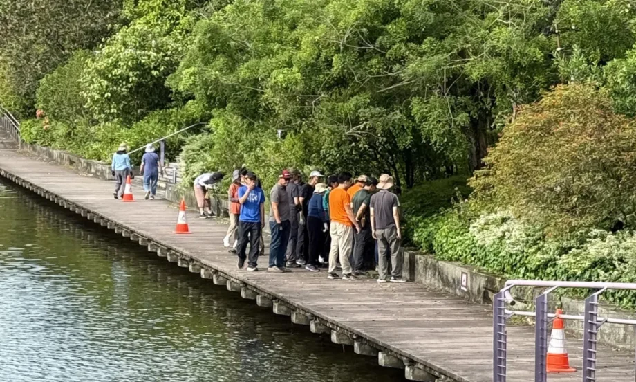 ‘Tourists’ seen plucking plants at Gardens by the Bay were actually volunteers, not foraging visitors