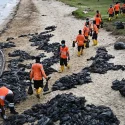Oil spill: .5M compensation claims filed
