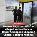 @mothershipsg The 44-year-old woman was subsequently arrested for voluntarily ca…