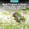 @mothershipsg maybe in another life… #fyp  …