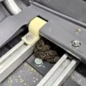 SMRT bus captain notices python on board, passengers transferred to another bus