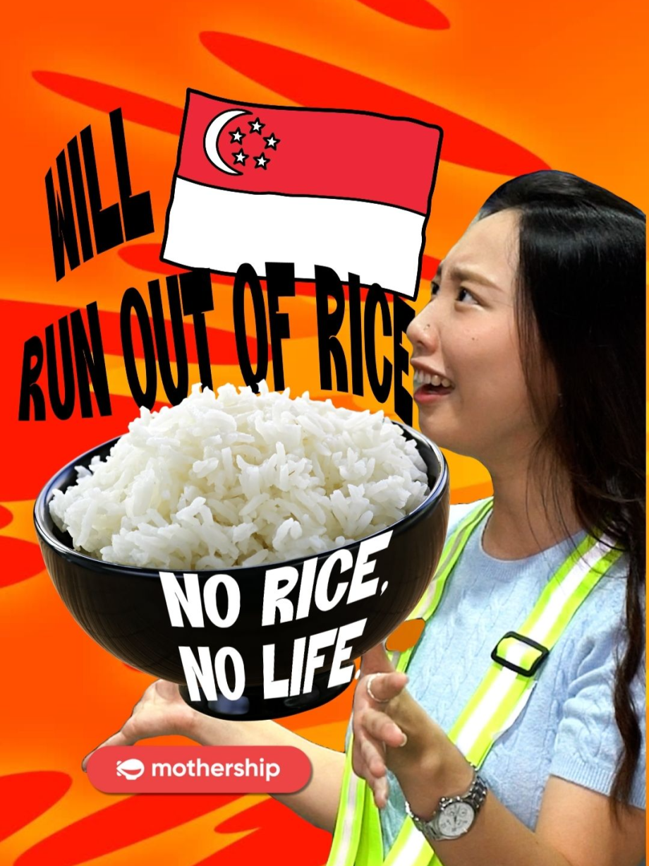 @mothershipsg sg real national treasure = rice #tiktoksg #sgfoodie #asian …