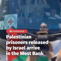 @mothershipsg Buses carrying dozens of Palestinian prisoners, once held captive …