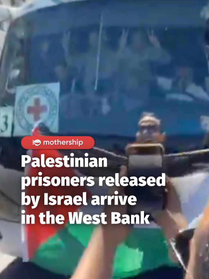 @mothershipsg Buses carrying dozens of Palestinian prisoners, once held captive …
