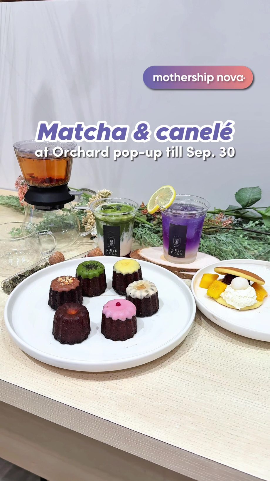 @mothership.nova Whitetree pop-up : Isetan Scotts, 350 Orchard Road, 01-K2 & K3,…