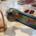 @caramelcookiedo halaal and tasted GOOD! the sambal paired with the siaw mai, th…