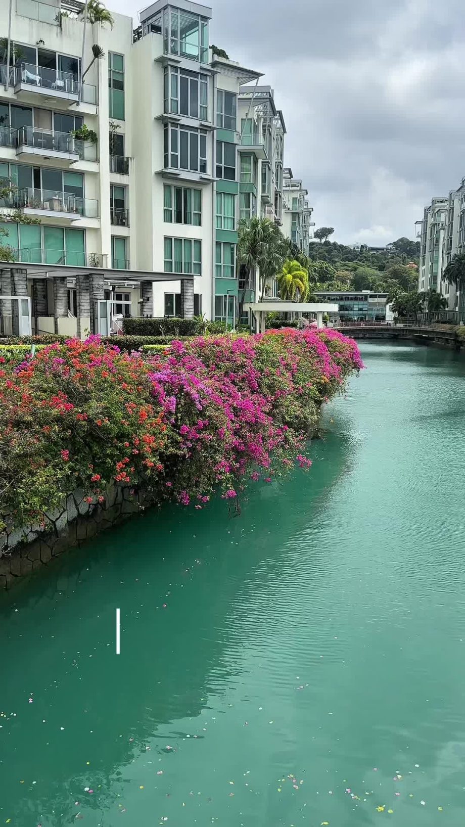 @sarenanasalski Day in my life living in SG  #livingabroad #ditl #minivlog #sing…