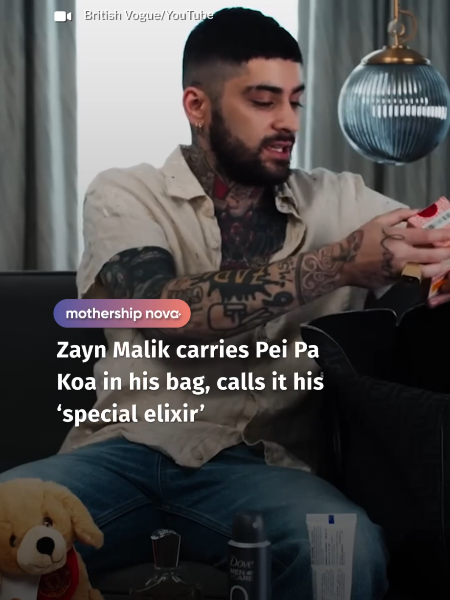 @mothershipsg suddenly I want to be Pei Pa Koa tiktoksg sgnews #zaynmalik …