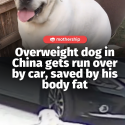 @mothershipsg change name to lucky now According to China Press, the incident oc…