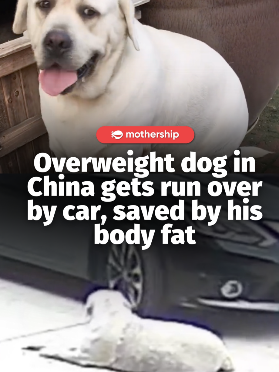 @mothershipsg change name to lucky now According to China Press, the incident oc…
