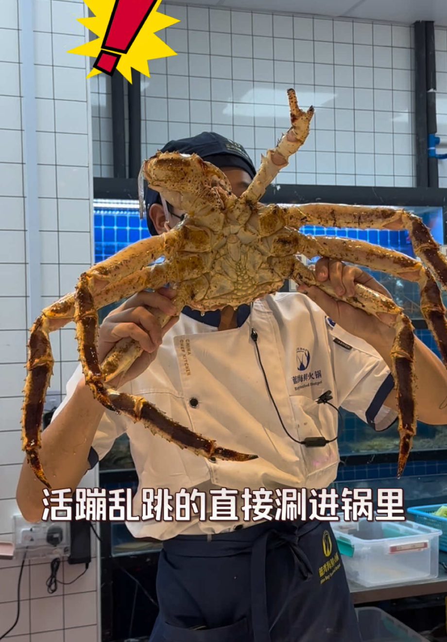 @starry.qiuqiu #sgfoodie #sgtiktok #sglife #新加坡美食 #新加坡生活  …