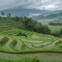 Explore the Beauty of Southeast Asia’s Rainy Season: A Hidden Gem for Nature Enthusiasts