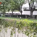 Stomper investigates ‘horrifying and disturbing’ screams near Upper Bukit Timah condo
