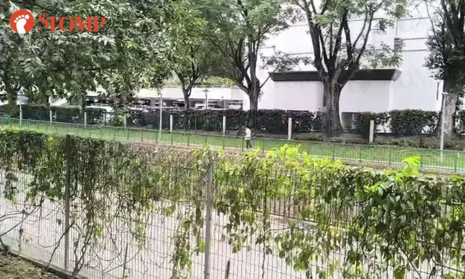 Stomper investigates ‘horrifying and disturbing’ screams near Upper Bukit Timah condo