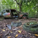 Who drove into the forest? How 4 abandoned cars ended up near this Singapore cemetery
