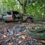 Who drove into the forest? How 4 abandoned cars ended up near this Singapore cemetery