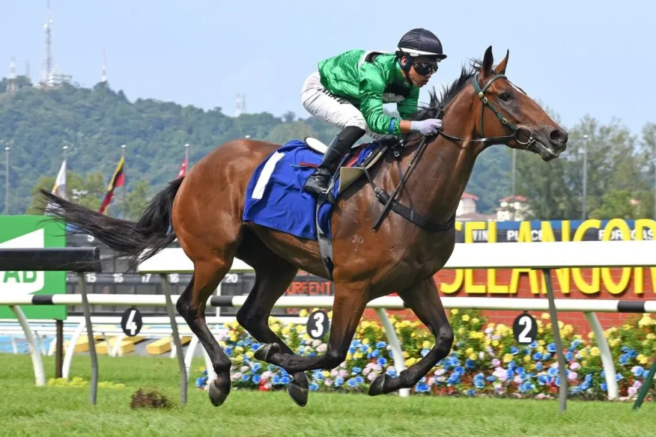 Fright thrown in at the deep end in Singapore Pools race Fright thrown in at the deep end in Singapore Pools race