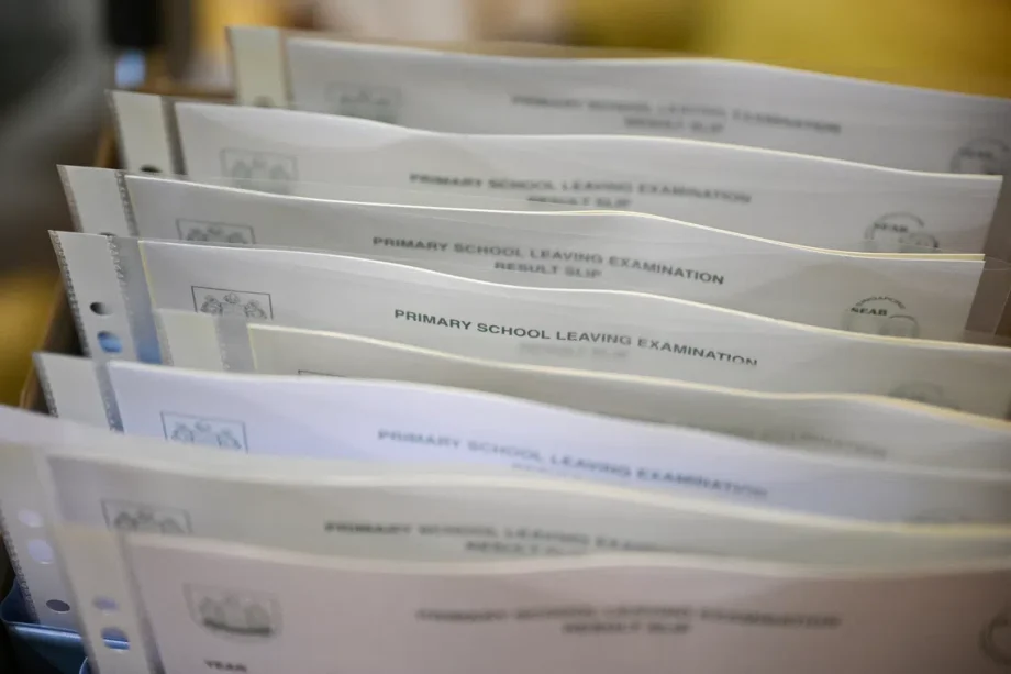 PSLE results to be released on Nov 25 PSLE results to be released on Nov 25