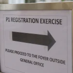 ‘Deliberate subversion’ of P1 registration framework can lead to jail sentence: Judge