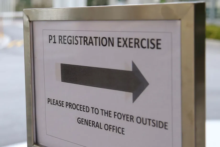 ‘Deliberate subversion’ of P1 registration framework can lead to jail sentence: Judge ‘Deliberate subversion’ of P1 registration framework can lead to jail sentence: Judge