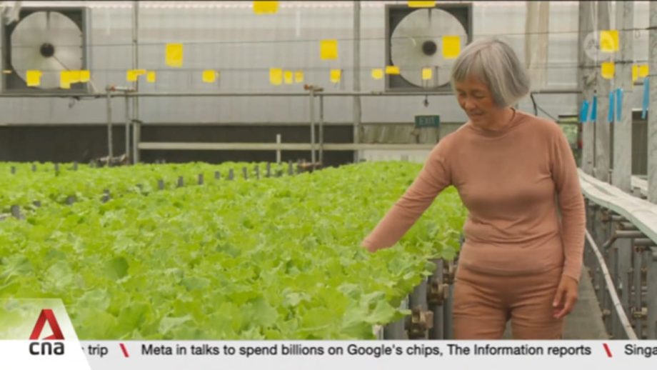 Pilot programme to consolidate and share logistics among Singapore agro-food industry players Pilot programme to consolidate and share logistics among Singapore agro-food industry players