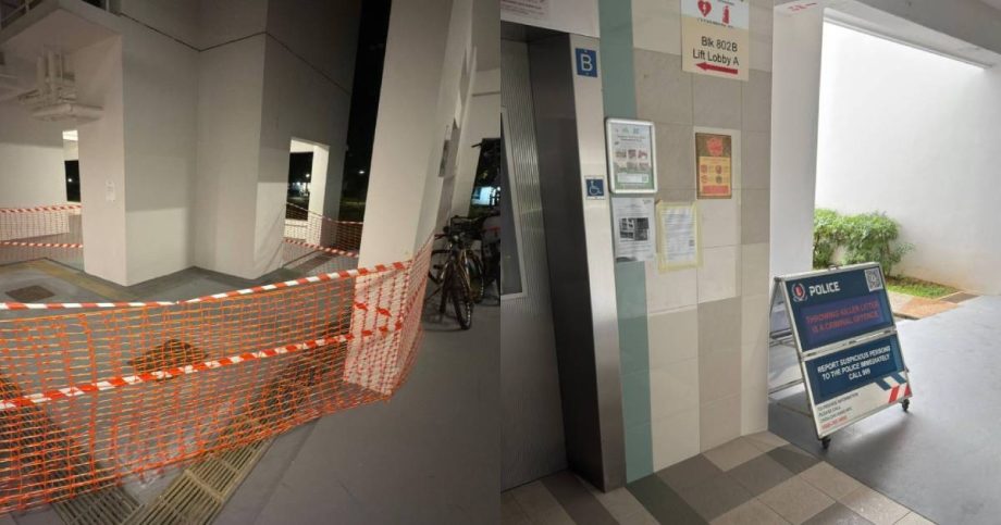 ‘Not the first time’: Chua Chu Kang MP Jeffrey Siow issues warning against littering of glass, ceramic items, Singapore News