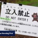 Hongkongers urged to secure travel insurance as bear attacks rise in Japan