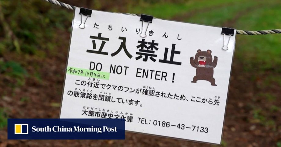 Hongkongers urged to secure travel insurance as bear attacks rise in Japan