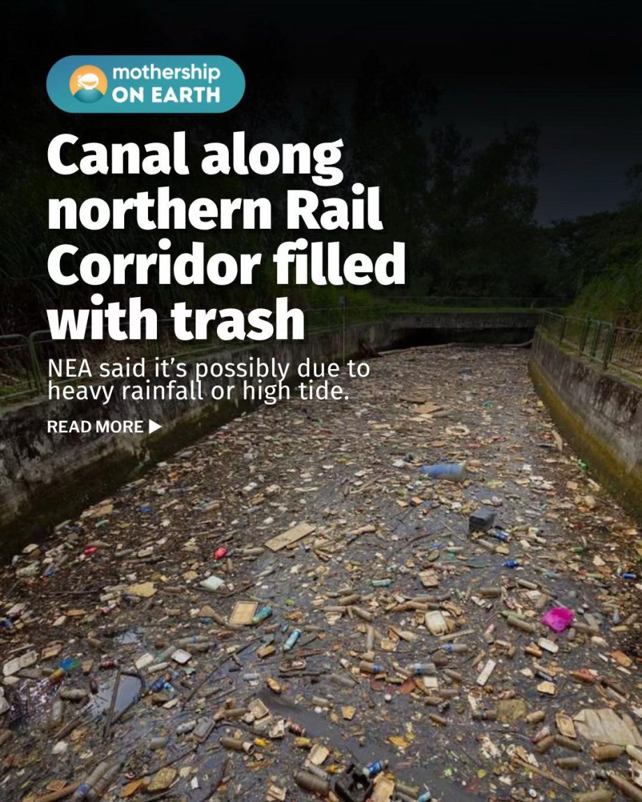 @mothershipsg nasty  NEA said it will continue to monitor the situation closely …