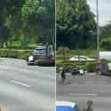 4 taken to hospital after multi-vehicle accident on SLE