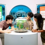 From groceries to air-con: Find out how much CO2 your lifestyle really produces