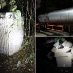 4 arrested after Singapore Customs seizes 3,100 cartons of contraband cigarettes, 3 vehicles